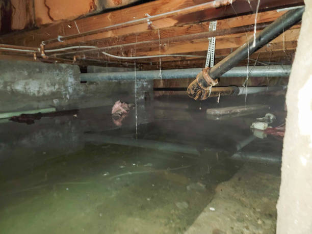 Best Residential water damage restoration  in Olathe, CO