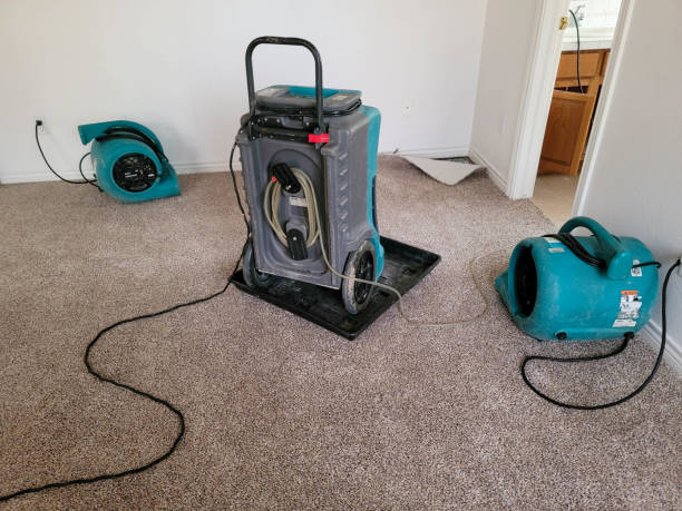 Best Water damage restoration experts  in Olathe, CO