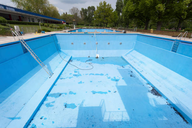 Best Flood restoration services  in Olathe, CO