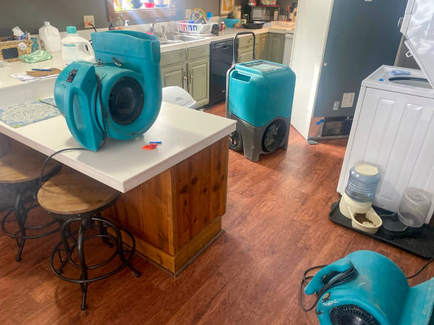 Best Commercial water damage restoration  in Olathe, CO