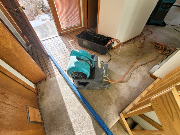 Water damage restoration mold remediation in CO