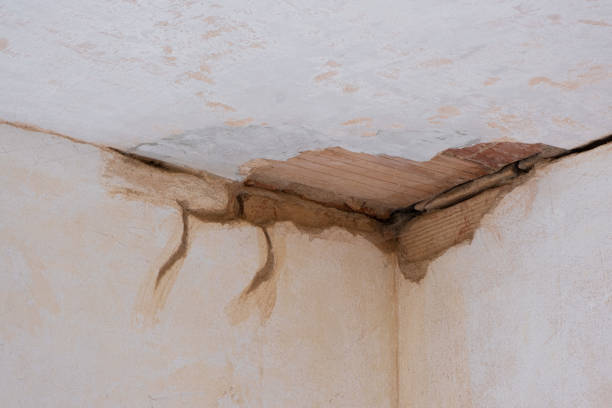 Best Water damage restoration process  in Olathe, CO