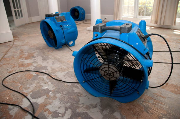  Olathe, CO Water damage restoration Pros
