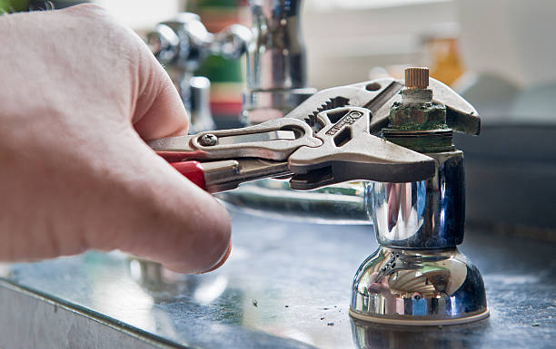 Best Professional water damage repair  in Olathe, CO