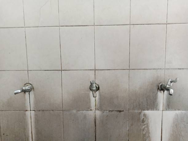 Best Water damage contractors near me  in Olathe, CO