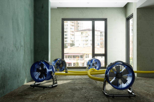 Water damage restoration process in CO